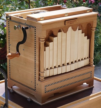 Wittmann belly organ