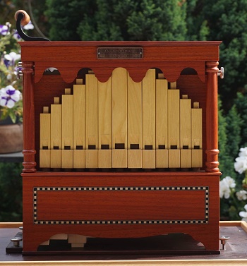 Wittmann belly organ